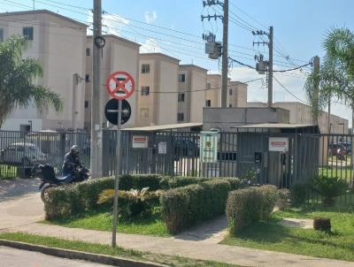 imagem-miniatura