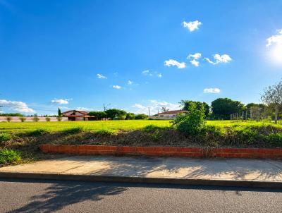 Terreno para Venda, em Ibir�, bairro Termas de Ibir�