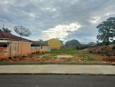 imagem-miniatura
