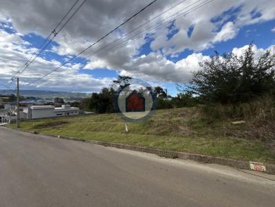imagem-miniatura