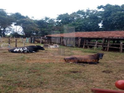S�tio para Venda, em Tanabi, bairro 
