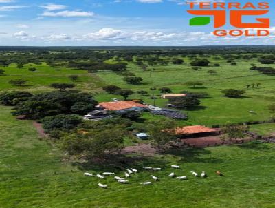 Fazenda para Venda, em Acorizal, bairro Zona rural