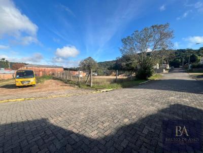 Terreno para Venda, em Sert�o Santana, bairro Centro