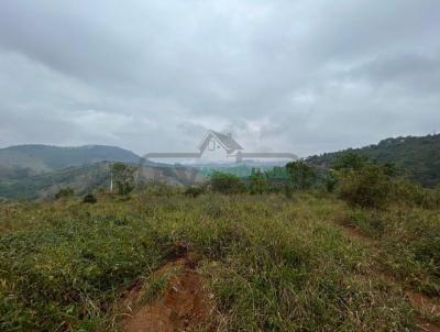 Lote para Venda, em Juiz de Fora, bairro Torre�es