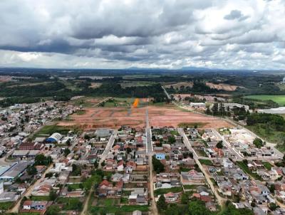 imagem-miniatura