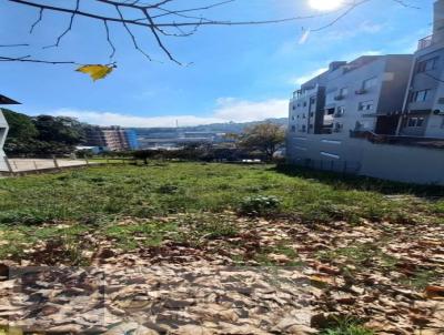 Terreno para Venda, em Garibaldi, bairro Champagne