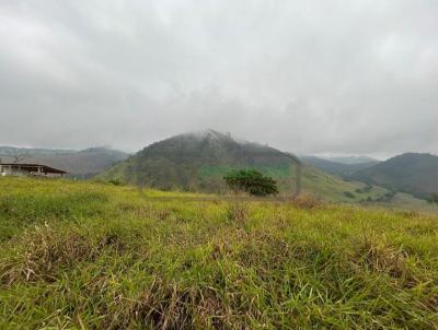 Lote para Venda, em Juiz de Fora, bairro Torre�es