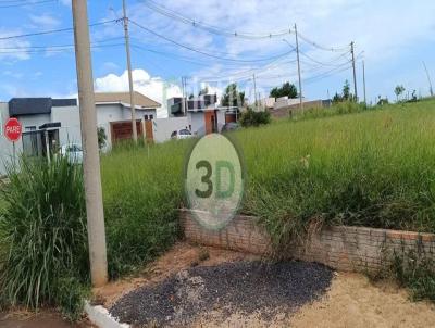 imagem-miniatura