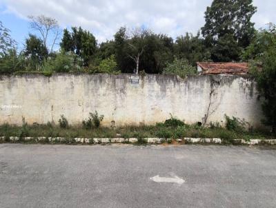Terreno para Venda, em Roseira, bairro Jardim Primavera