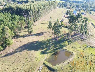 �rea Rural para Venda, em Triunfo, bairro �rea rural