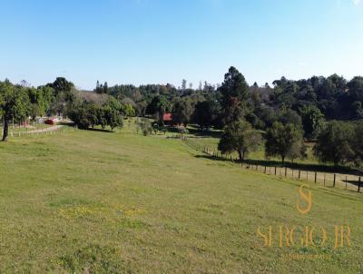 S�tio / Ch�cara para Venda, em Triunfo, bairro �rea rural, 4 dormit�rios, 2 banheiros