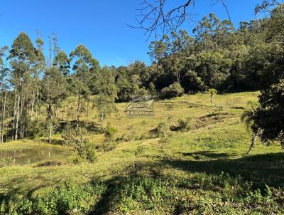 Terreno Rural para Venda, em Angelina, bairro LINHA DO CHAVES
