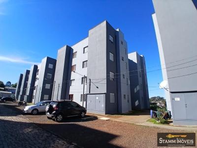 imagem-miniatura