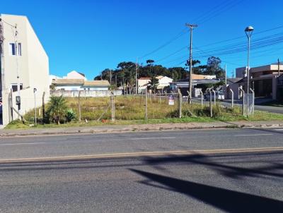 Terreno Comercial para Venda, em Fazenda Rio Grande, bairro Eucaliptos
