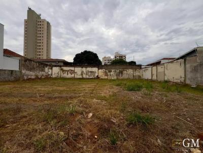 imagem-miniatura