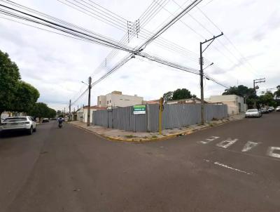 imagem-miniatura