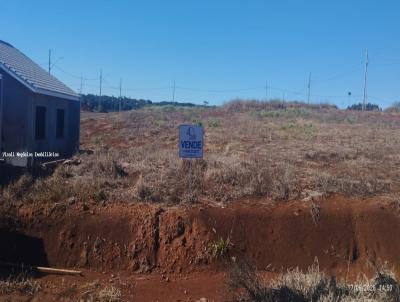 Terreno Residencial para Venda, em Vitorino, bairro Primavera