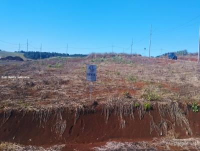 Terreno Residencial para Venda, em Vitorino, bairro Primavera