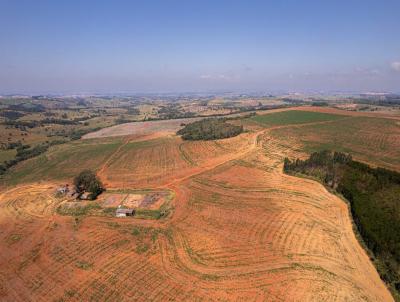 Fazenda para Venda, em Bambu�, bairro 