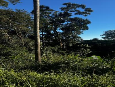 Terreno para Venda, em Ibi�na, bairro 