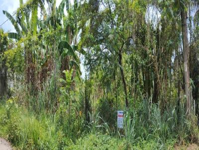 Terreno para Venda, em Itagua�, bairro SANTA C�NDIDA