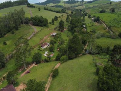 S�tio para Venda, em Novo Hamburgo, bairro 