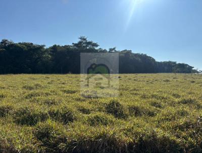 S�tio / Ch�cara para Venda, em Betim, bairro Vian�polis