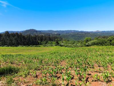 S�tio para Venda, em Gramado, bairro 