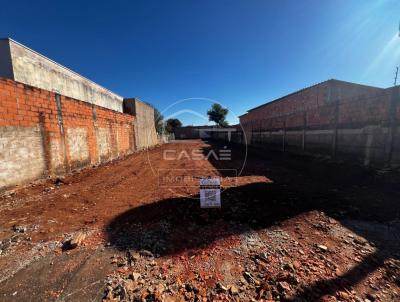 Terreno para Venda, em Agua�, bairro Jardim Novagua�