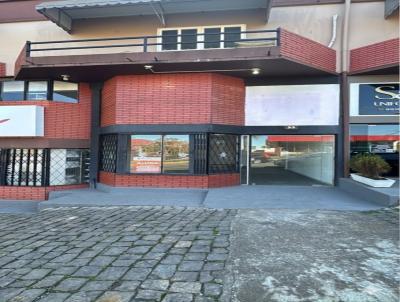 Sala Comercial para Venda, em Fraiburgo, bairro S�o Jos�, 1 banheiro
