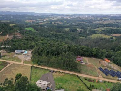 imagem-miniatura