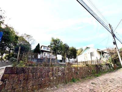 Terreno para Venda, em Erechim, bairro Centro