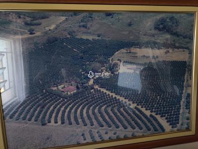 imagem-miniatura