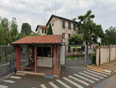 imagem-miniatura