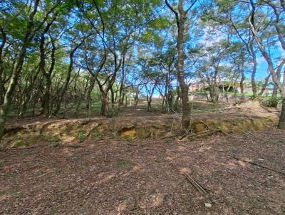 Terreno para Venda, em Campinas, bairro Sousas