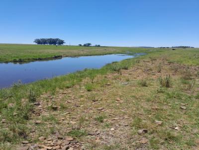 Campo para Venda, em Santana do Livramento, bairro Cerro Chato