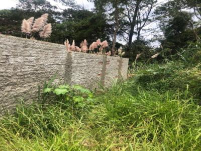 Terreno para Venda, em Mau�, bairro Sert�ozinho