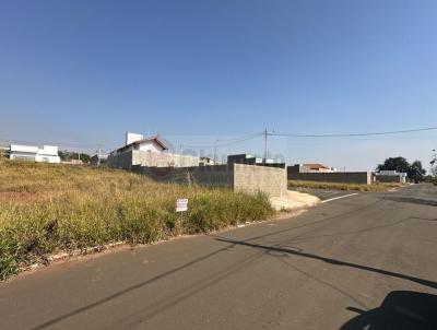 Terreno para Venda, em , bairro TERRAMERICA