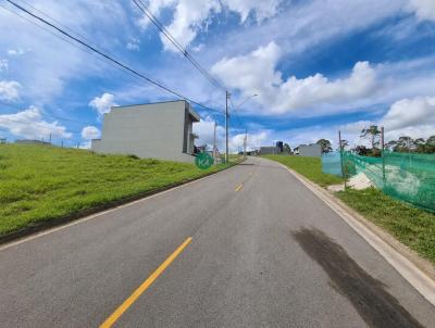 Loteamento para Venda, em Mogi das Cruzes, bairro Porteira Preta