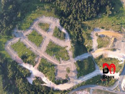 Lote para Venda, em Brumadinho, bairro alta vista
