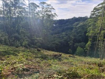 Terreno para Venda, em Jundia�, bairro Loteamento Capital Ville