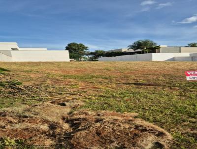 Terreno para Venda, em Uberl�ndia, bairro Shopping Park