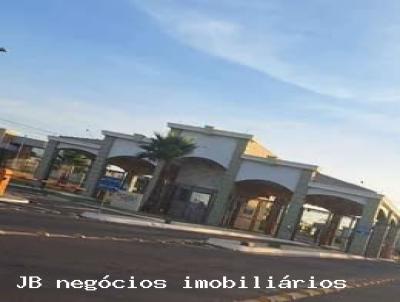 imagem-miniatura