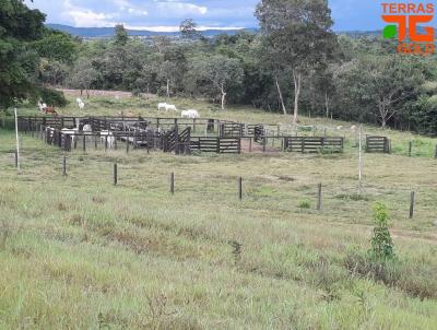 Fazenda para Venda, em Nova Brasil�ndia, bairro Zona rural