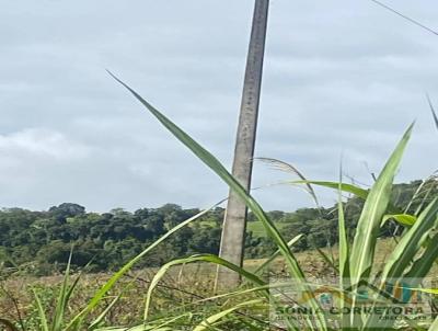 �rea para Venda, em Novo Machado, bairro Barra  Funda
