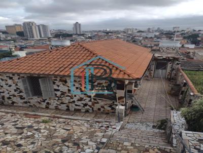 Terreno para Venda, em S�o Paulo, bairro Vila Gustavo