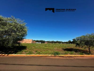 imagem-miniatura