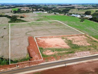 Ch�cara para Venda, em Esta��o, bairro pr�ximo ao trevo de acesso