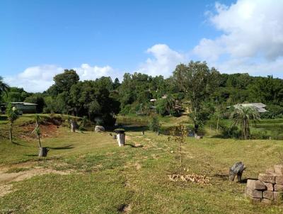 S�tio para Venda, em Viam�o, bairro , 3 su�tes