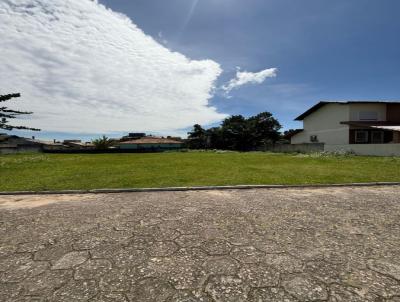 imagem-miniatura